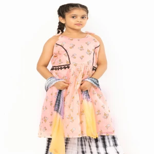 Peach Tie-Dyed and Embroidered Voile Shalwar Kameez